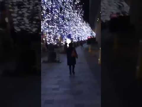 WINTER ILLUMINATIONS in TOKYO #tokyo #japan #japanese #illumination #winter