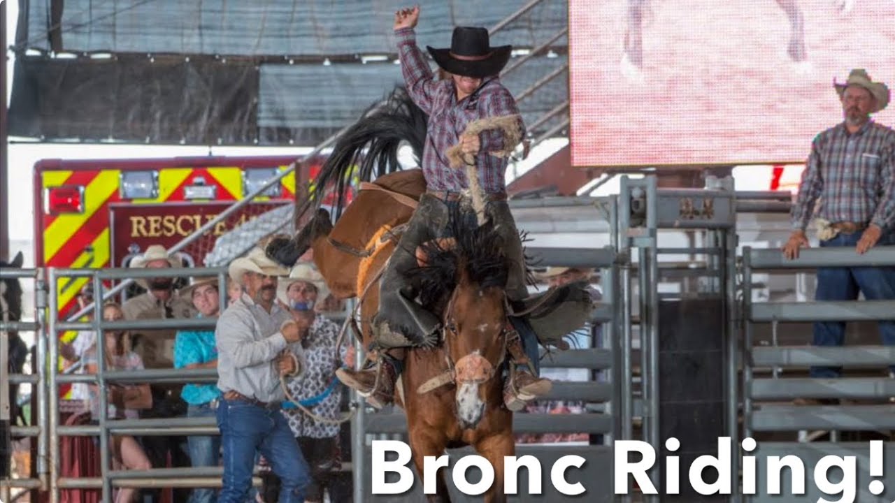 Roots N boots Rodeo Bronc riding! ( Queen Creek, Arizona ) - YouTube