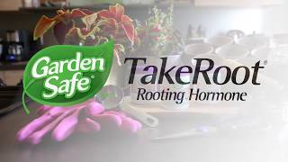 Garden Safe Brand TakeRoot