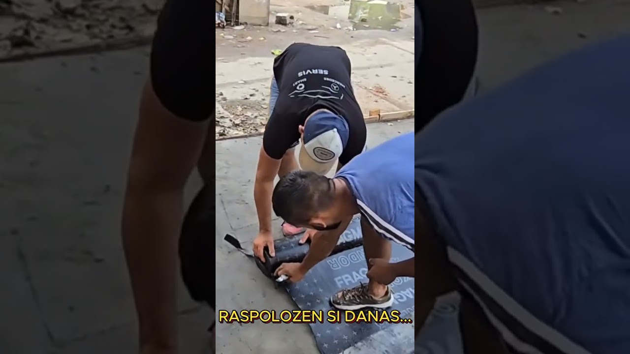 THE BEST OF KAFE ZALE