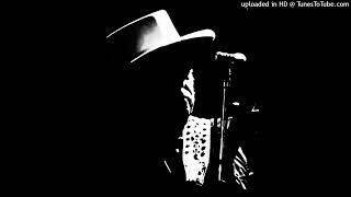 Bob Dylan live , If You Ever Go To Houston , Dublin 2009