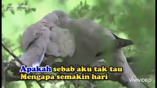 Malek Ridzuan-Jumpa Kali Ke 2(KARAOKE NO VOCAL)