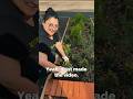 Spring Garden Transformation: Weed Removal &amp; Buxus Planting in United Kingdom