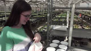 EHS Students Volunteering to Help Local Business