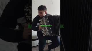 Шнуров мобильник cover на баяне