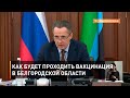 Как будет проходить вакцинация в Белгородской области