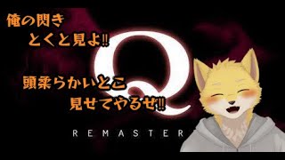 俺の閃きとくと見よ！！　【Q  REMASTERED】
