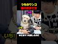 犬に薬を飲ませる天才的な方法www