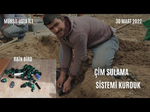 Video: Modern para birimi ilişkileri