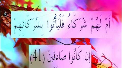 القران الكريم سورة القلم الاية 41.wmv