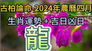 【古柏論命每月運勢+吉日凶日】2024年農曆四月(陽曆2024年5/8 ~ 6/5)生肖運勢分享 -  龍