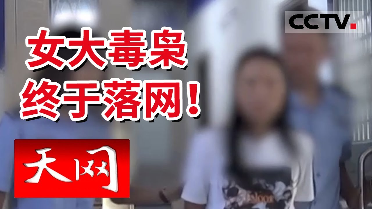 《天网》深恶痛疾！女毒枭背后操纵毒品跨国运输 涉世未深年轻人误入歧途运输毒品 自毁前程 | CCTV社会与法