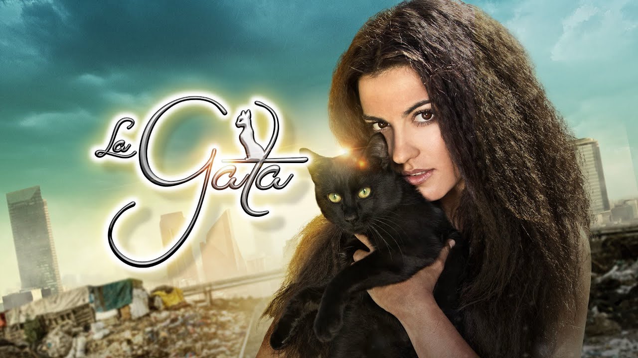 La gata (2014): Todas las cachetadas