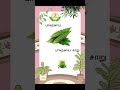 மருத்துவக் குறிப்பு 02 #shortsfeed #tamil