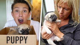 SURPRISING MORGZ WITH NEW PUPPY!! **he cried** (NOT Clickbait)