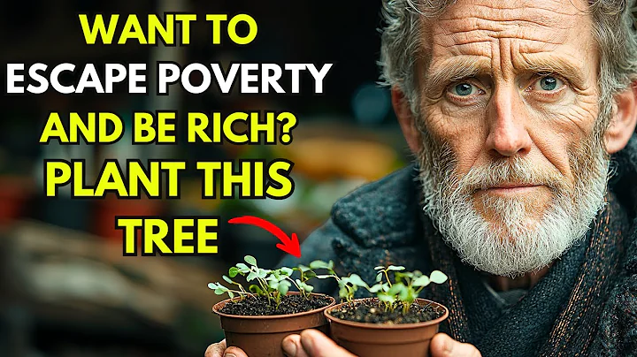 Plant this tree in front of your house, luck and wealth will come unexpectedly