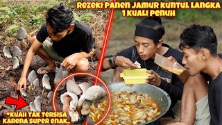 BERBURU JAMUR KUNTUL LANGKA TERNIKMAT DI BUMI