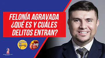 ¿Qué son los delitos de categoría B?