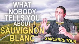 The Origins of Sauvignon Blanc - Inside Sancerre Wine & the Loire Valley of France