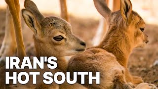 Iran's Hot South | Travel Expedition