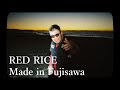 RED RICE - Made in Fujisawa【MV】