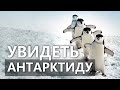 Как попасть в Антарктиду и что там можно увидеть? Рассказывает Лео Рабкин