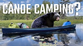 Canoe Camping in the Adirondacks? 5 Things You Should Know!
