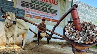 India's 3000 Years Old Oil Extraction Process😱😱 दुनिया का सबसे बढिया तेल ऐसे निकाला जाता है😳😳