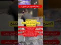 الطريقة الاصح لفتح عقد اللسان التي تمنع خروج سحر من المعده الطريقة الاصح لفتح عقد اللسان التي تمنع خروج سحر من المعده