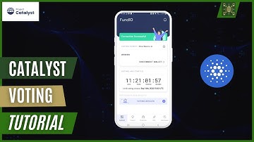 Everything You Need to Know to MAKE VOTING ON CATALYST EASIER! (Tips and Tutorial)