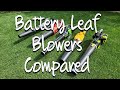 The Best Battery Leaf Blowers For 2020