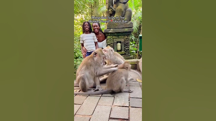 Things Not To Do In The Monkey Forest | Ubud, Bali | Indonesia