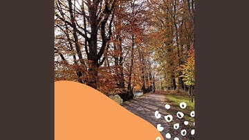 Incredible Backdrops for Lazy Days