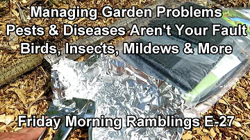 The Big Managing Garden Pests and Diseases Episode & Wetting Leaves Myth: FM Garden Ramblings  E-27