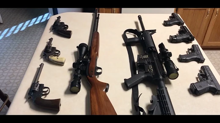 Guns & Ammo...Enough or More??