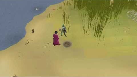 Wave on Mudskipper Point OSRS
