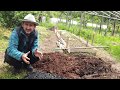 Cum să faci un pământ fertil
