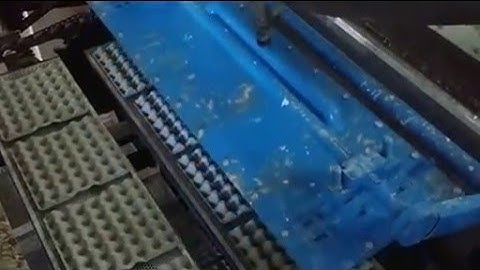 multi-layer metal egg tray drying line