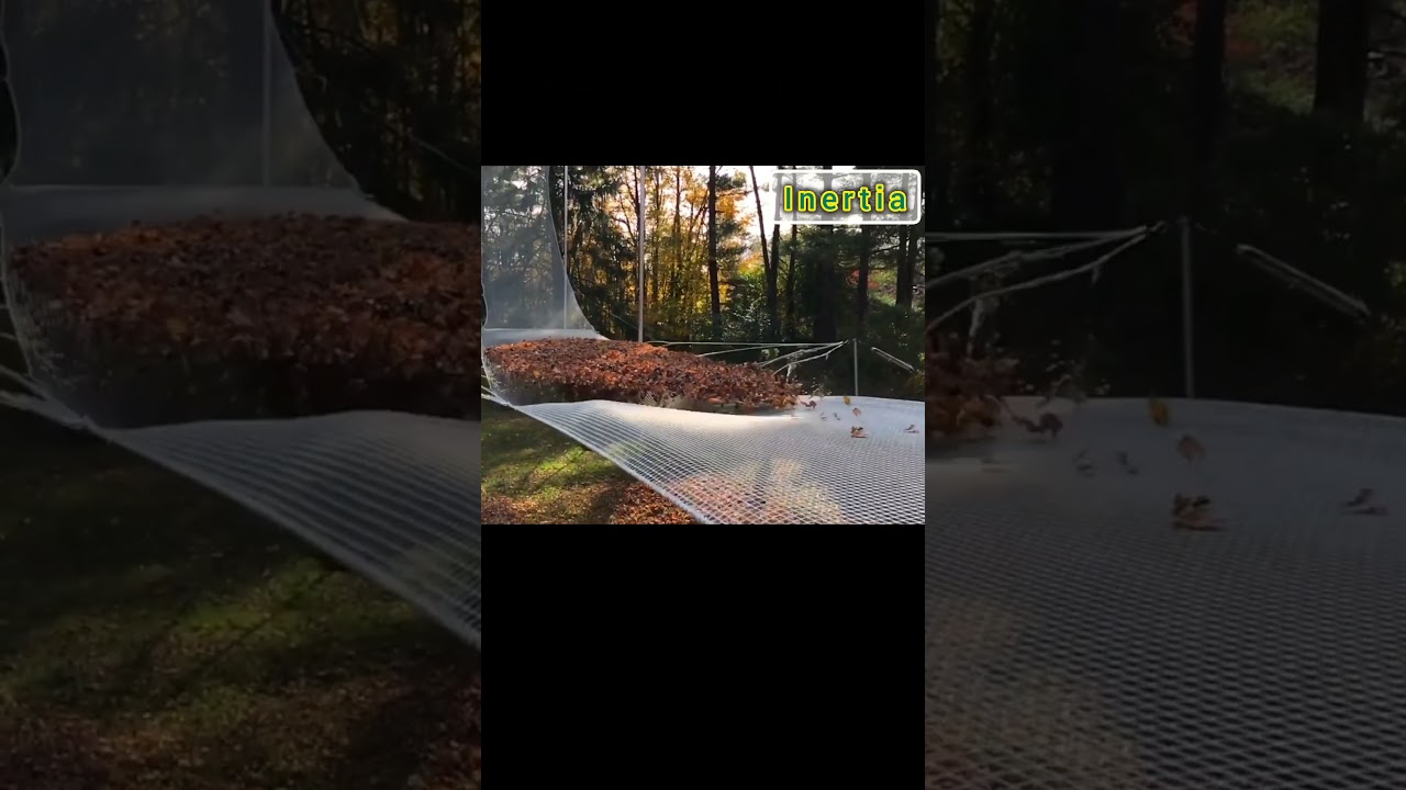 Physics : Newton's First Law 