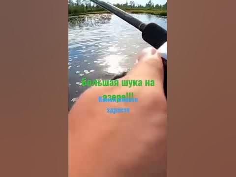 Канал Снасти здрасте большая щука на озере подписывайтесь на их и на ...
