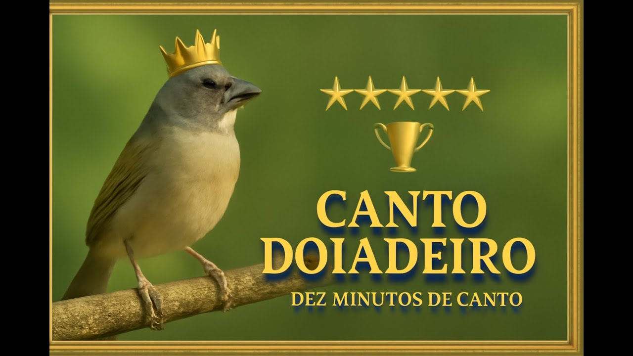 O CANTO BOIADEIRO MAIS PURO DO TRINCA-FERRO! 🔥 | Referência Que ...