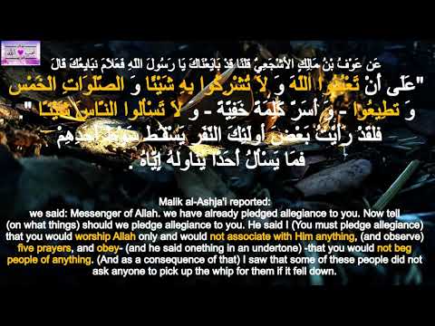 حديث لا تسألوا الناس شيئا