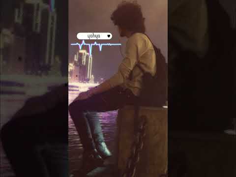 شيماء الشايب ماتلمش ابدا عالنصيب