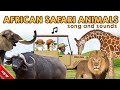 African Safari Animals Song  | Wild Animals Names and Sounds | African Safari Animals Vocabulary