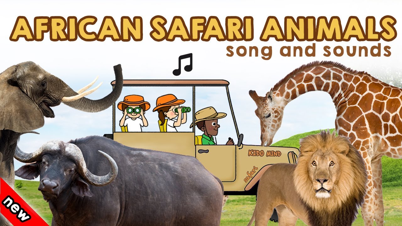 safari animals songs