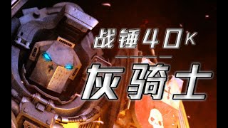 【阿偉戰錘】執此復仇聖劍，屠滅混沌邪祟！灰騎士 —— 戰錘40K派系概述