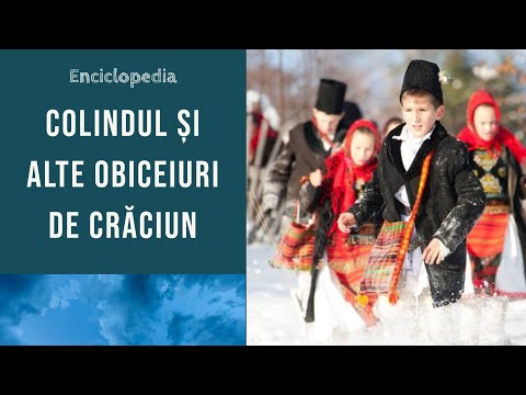 Video: Ceremonii de aprindere a pomului de Crăciun în D.C., MD și VA