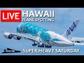 Live two a380 flying honu  planespotting in hawaii  phnlhnl super heavy saturdays