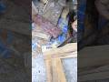 Woodworking education for wooden fittings 💡 tarika bataiye lakhdi ka joint kaise kare #diy #setting