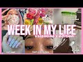 vlog: WEEK IN MY LIFE *valentine's day edition* ⎪hair, nails, friends & more!